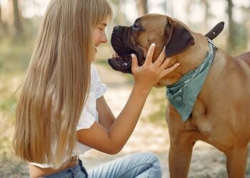 Quantos Anos Vive um Cachorro