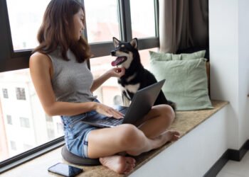 Como cuidar de cachorro em apartamento pequeno