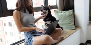 Como cuidar de cachorro em apartamento pequeno