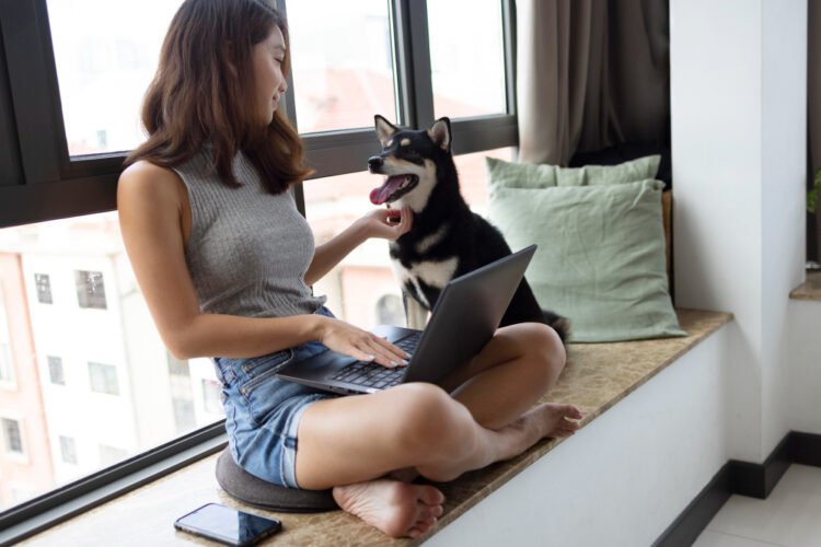 Como cuidar de cachorro em apartamento pequeno