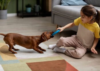 Brincadeiras para cachorro gastar energia em casa