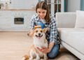 Como reduzir pelos de pet pela casa sem sofrimento