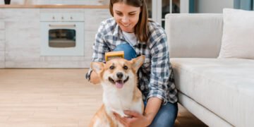 Como reduzir pelos de pet pela casa sem sofrimento