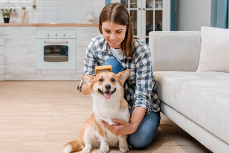 Como reduzir pelos de pet pela casa sem sofrimento