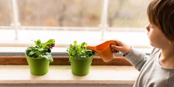 Plantas fáceis para quem esquece de regar às vezes